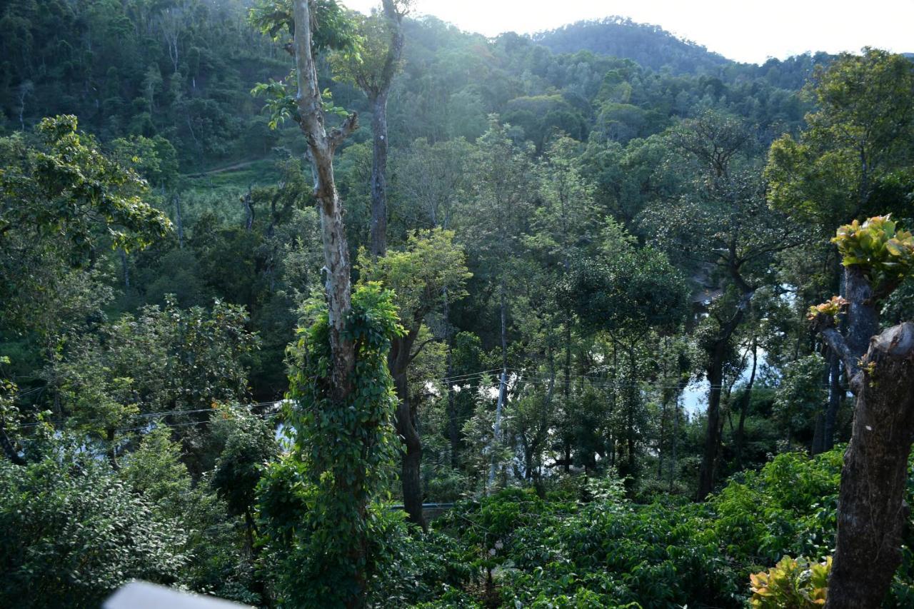 River View Guest House Madikeri Dış mekan fotoğraf