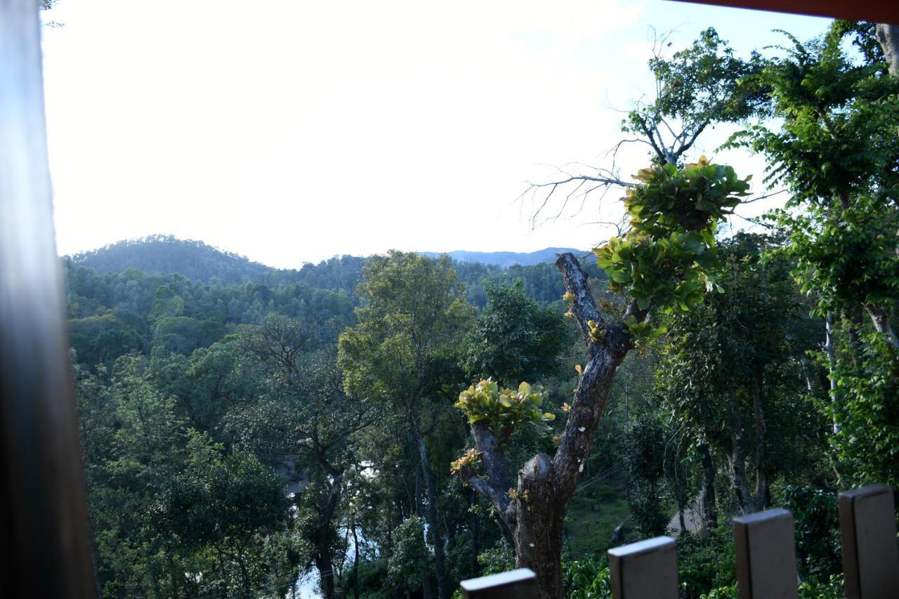 River View Guest House Madikeri Dış mekan fotoğraf